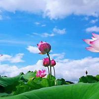 用户3013608154886头像