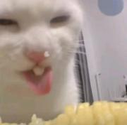 快乐学习的小米虫的个人资料头像