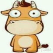 笨牛的个人资料头像