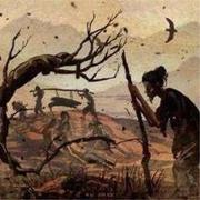 soul573的个人资料头像