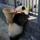 之贤头像