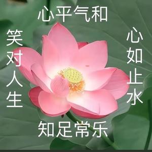 运筹帷幄葡萄Z3IsL7头像