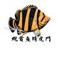 聪明的辰星Kpu头像