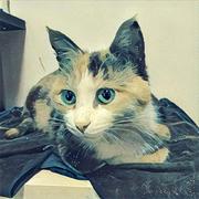 alanwei0的个人资料头像