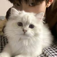 用户6084824918293头像