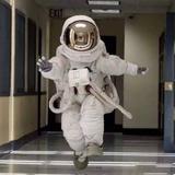 爱吃肥肠的小刘头像