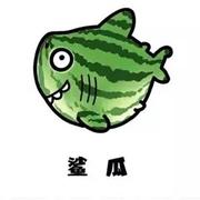 用户8762999784902的个人资料头像