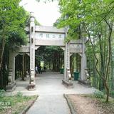 自在大东头像