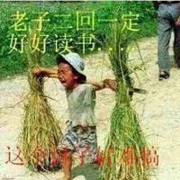 弱势的呐喊233头像