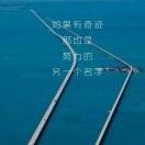 在路上2306117542435头像