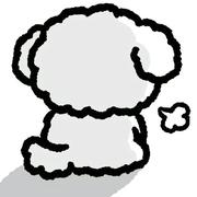 用户8409775167261的个人资料头像