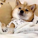 加不起油的星瑞车主头像