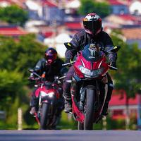 爱压弯的蓝神头像