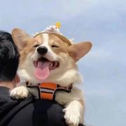 Lhw的个人资料头像