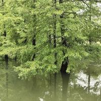 勇者海风z2F头像