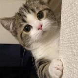 用户6004380801450头像