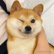 别绪无说处的个人资料头像