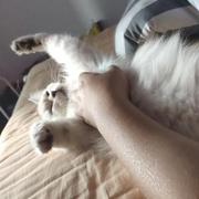 leftrui的个人资料头像