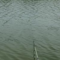 用户5152376915341头像