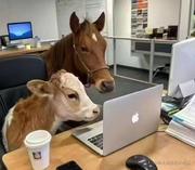 伟烽的个人资料头像