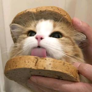 星光不负时光头像