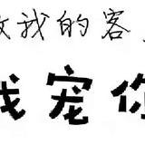 枫狼枫林头像