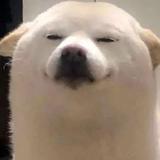 你今年5岁了吗头像