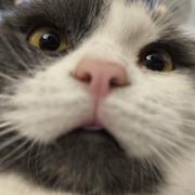 mchu的个人资料头像