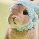 胡来的夏天的个人资料头像