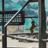 用户63132355086头像