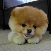 指尖上的光阴的个人资料头像