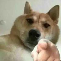 不是买车的头像