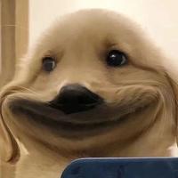 影舞与零度头像