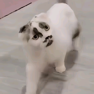 Ddaa头像