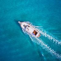 可靠好学小羊羊头像