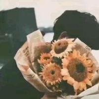 🌻头像