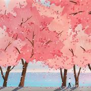 菜鸟小小的个人资料头像