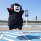 嘉琪的个人资料头像