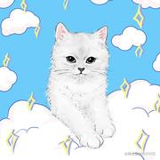 行无大因的个人资料头像