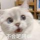 shinebero头像