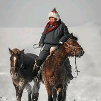 爱家双辽8T9头像