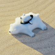 copterami的个人资料头像