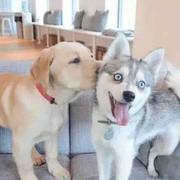 钟威的个人资料头像