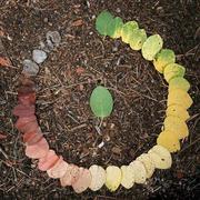 汪君相的个人资料头像