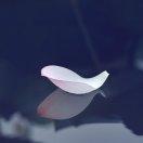 oxer的个人资料头像