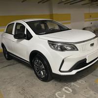 自在芒果Y20头像