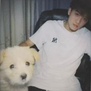 解放西红柿的个人资料头像