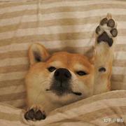 Yu_An的个人资料头像