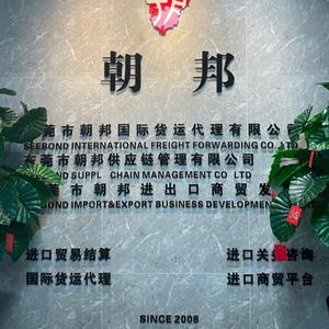 广东朝邦危险品进出口报关物流头像