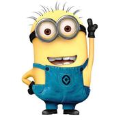 happytimor的个人资料头像